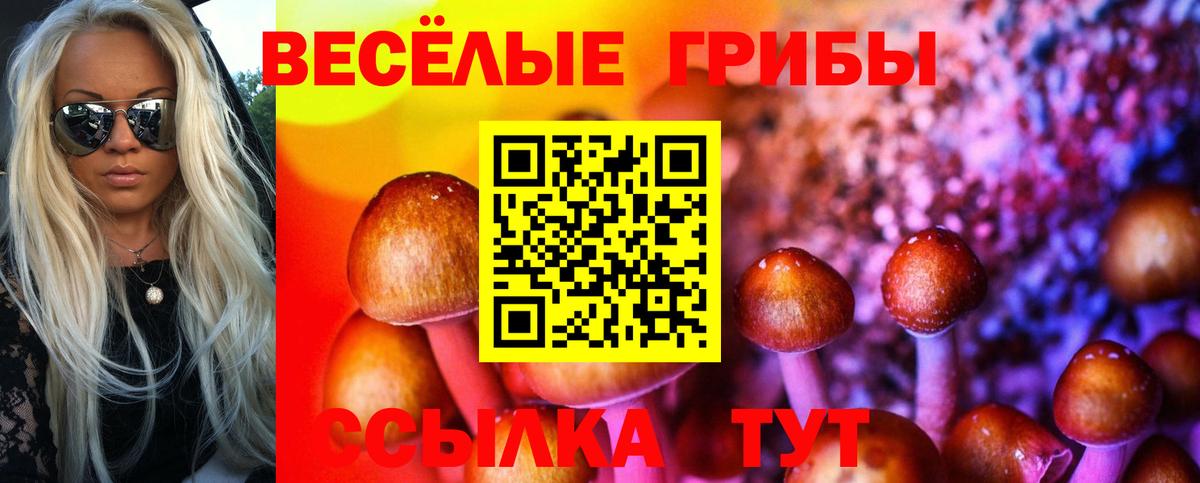 Карабулак  хочу наркоту  Псилоцибиновые грибы мухоморы  Вход с VPN  Галлюциногенные грибы мухоморы 